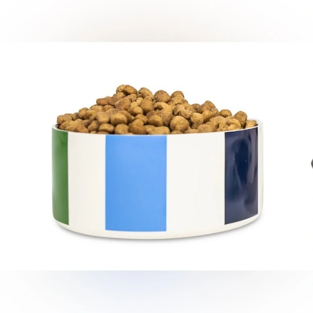 NIB Kate Spade Large Adventure Green/Blue Stripe Stainless Steel 32 oz. Dog Bowl
